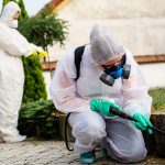 Servicio de desinfección, fumigación y saneamiento ambiental