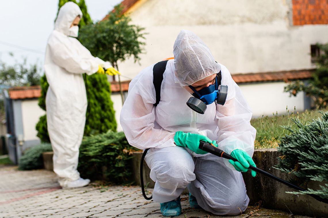 Servicio de desinfección, fumigación y saneamiento ambiental